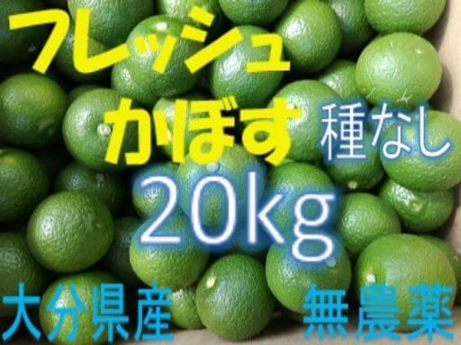 ちーちんさまご予約専用 大分県名産 フレッシュかぼす 特注品