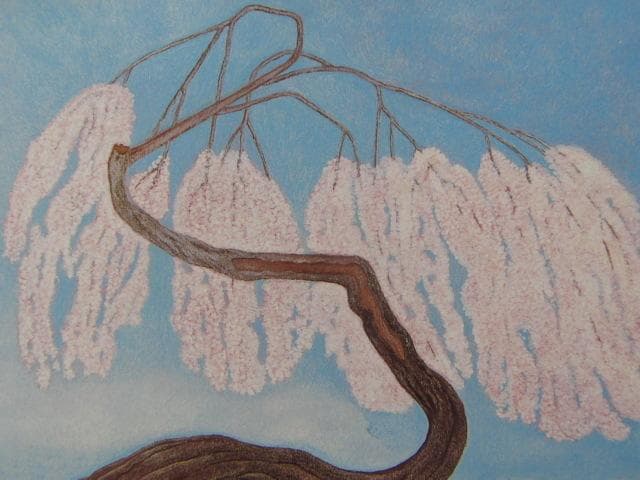 宮本玄雲、【老木　臥竜枝垂姫櫻】、希少な額装用画集より、美品、新品額装付