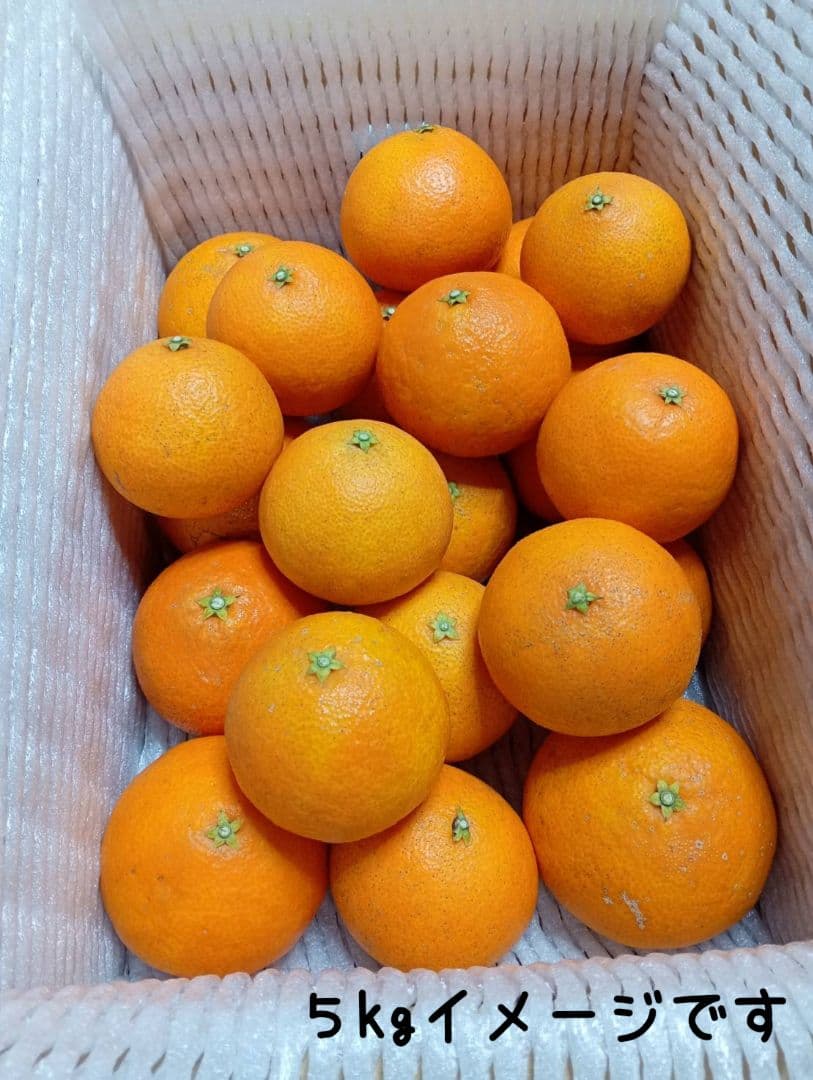 348愛果 まどんな 家庭用 10kg