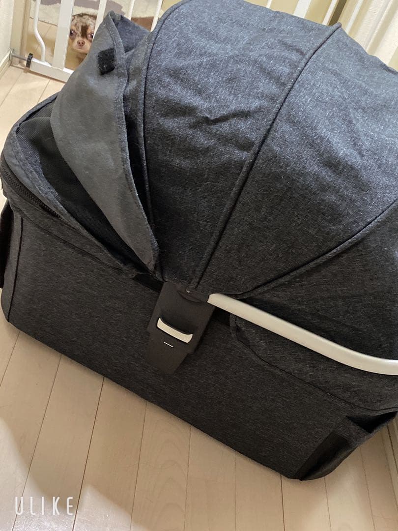 ピッコロカーネベント