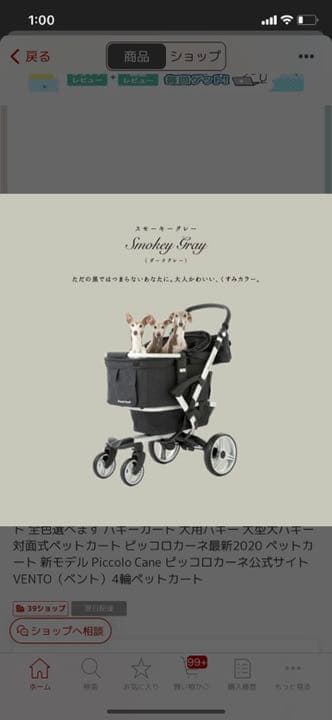 ピッコロカーネベント