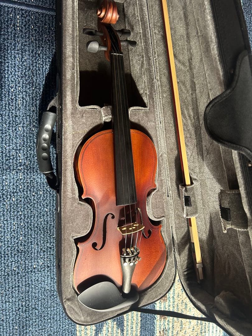 Hallstatt V-12 4/4 バイオリン 本体 ケース付き ヴァイオリン