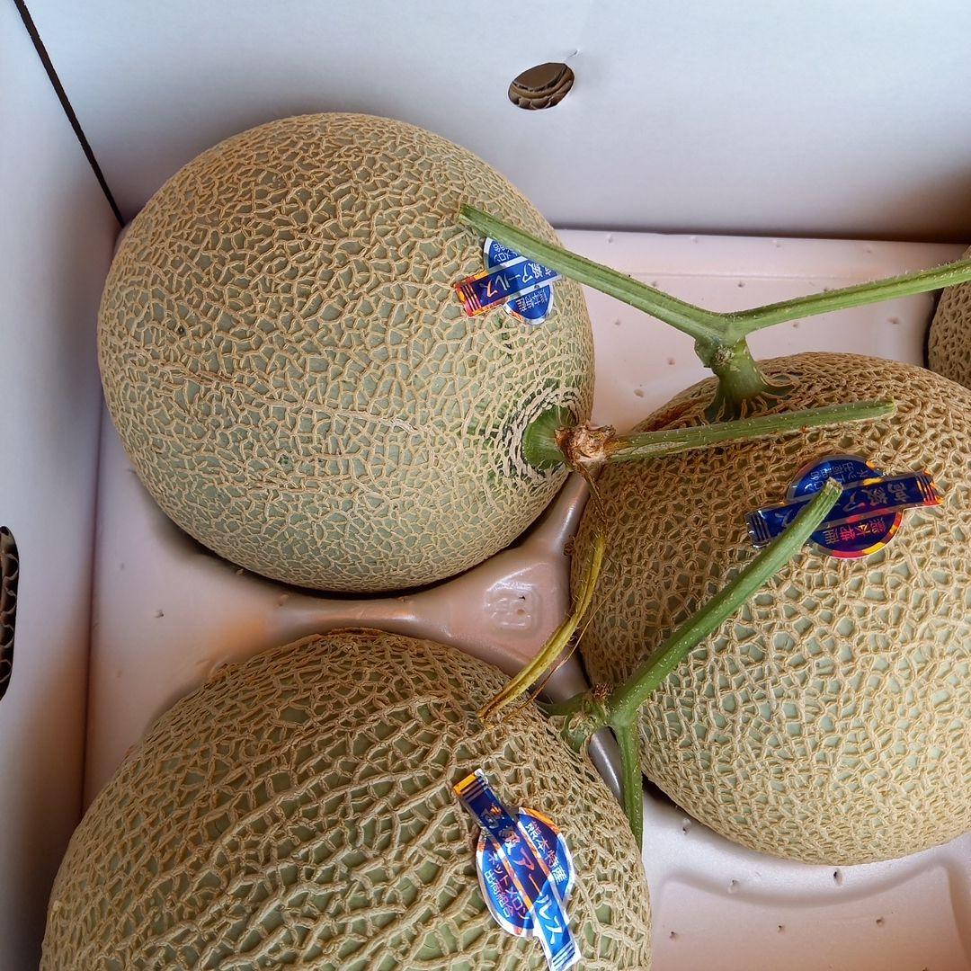 アールスメロン