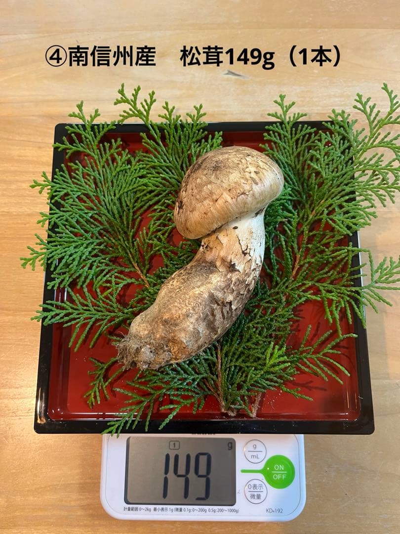松茸149g（1本）長野県産松茸　南信州産松茸　国産松茸