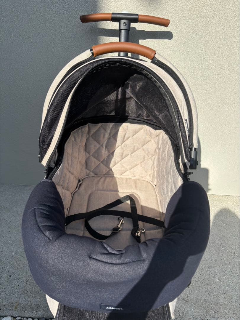 AIR BUGGY FITTシリーズ WIZ あごのせクッション付き