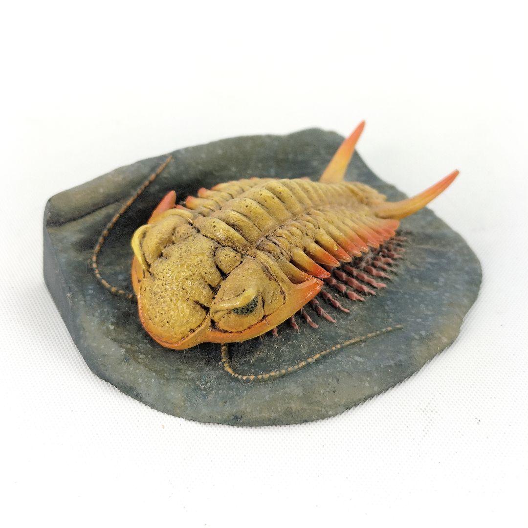 国立科学博物館 三葉虫 セロウリネラ フィギュア 海洋堂 限定