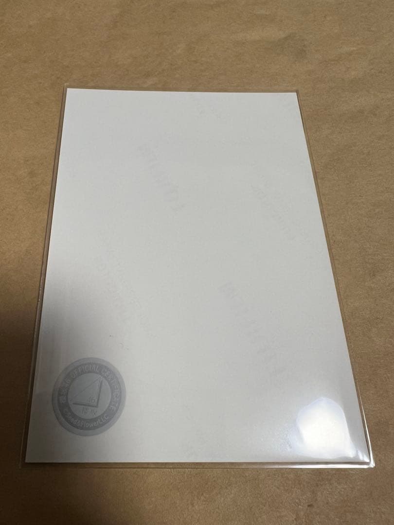 櫻坂46 田村保乃　直筆サイン入り2024年クリスマスサンタ衣装　ヒキ　生写真