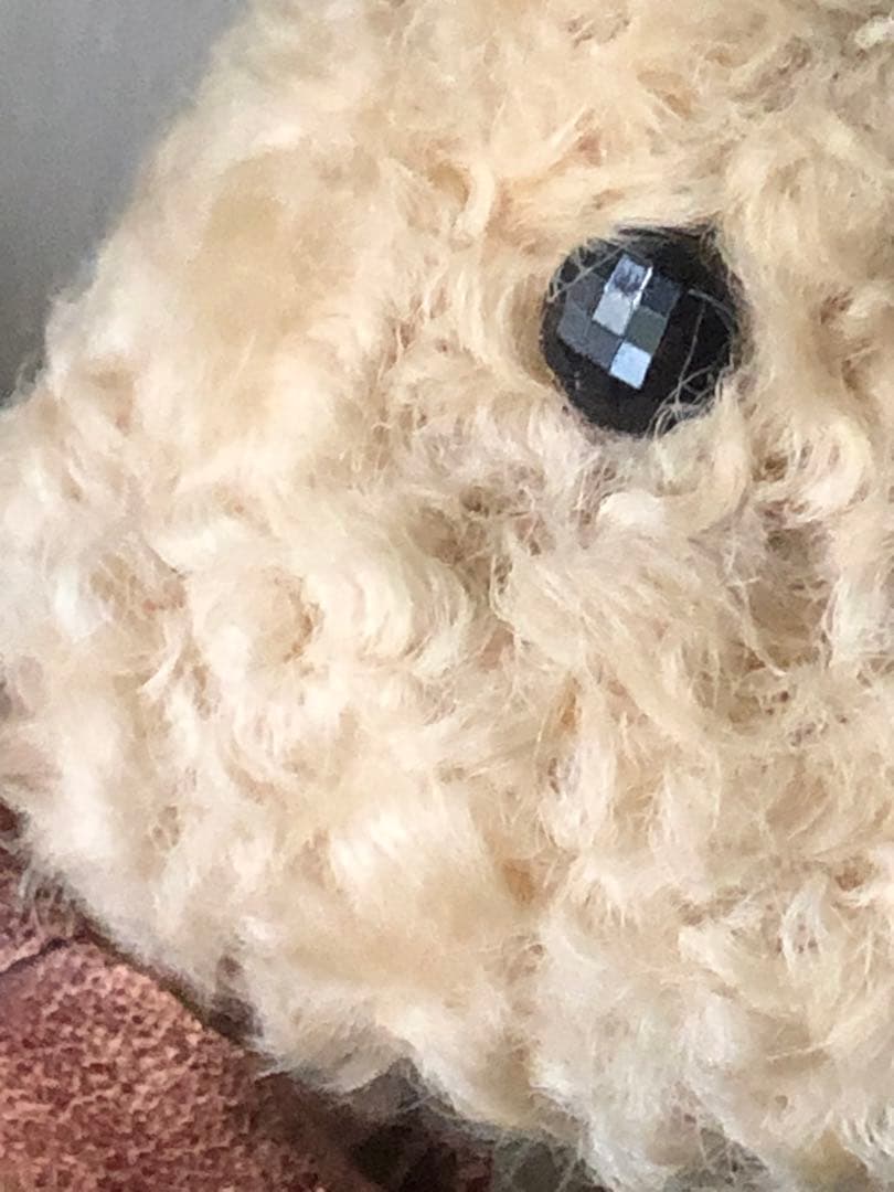 ■フランス■アンティーク■羊■モヘア羊■紙ものリースおまけつき■