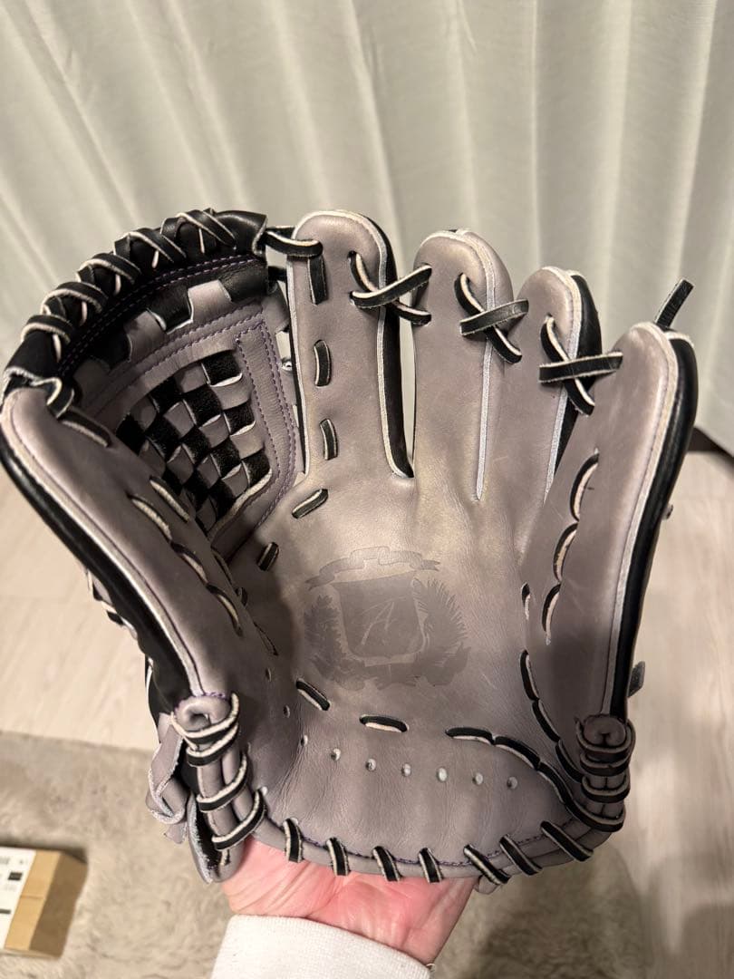 Alegria 軟式グローブ 黒/灰色