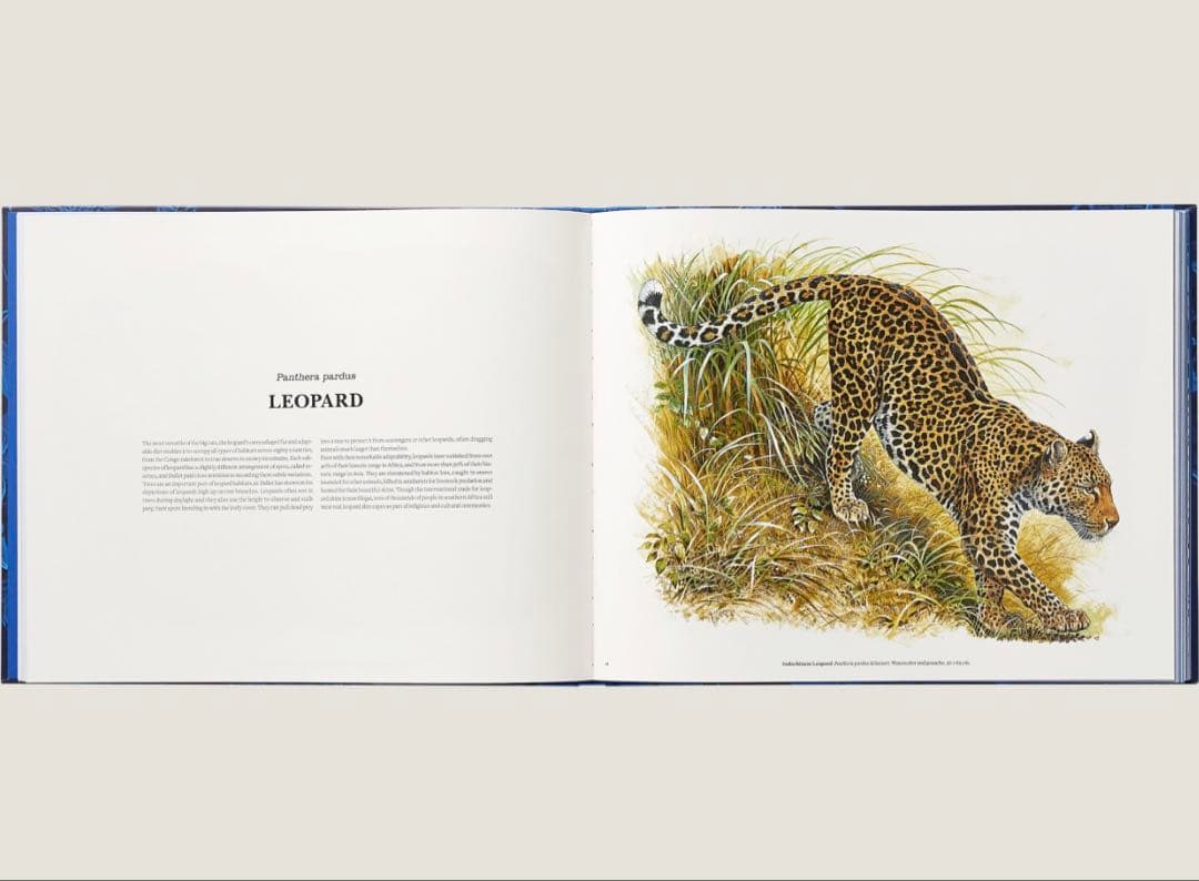 エルメス Ferocious and Fragile book アニマルブック