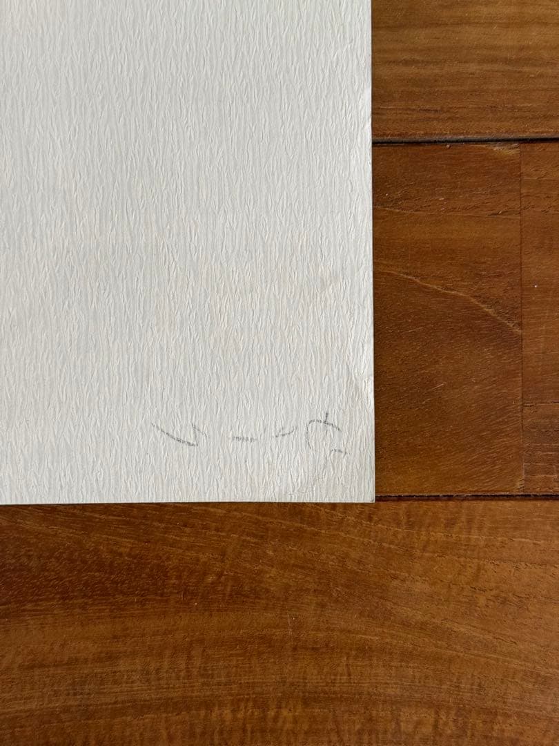 【非売品】　Björk ビョーク　DEBUT デビュー　B3ポスター　プロモ