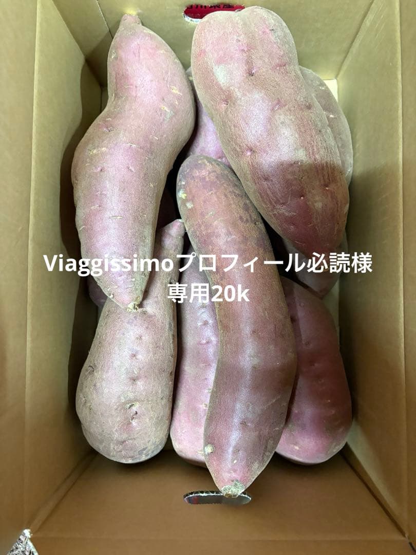 さつまいも20k専用