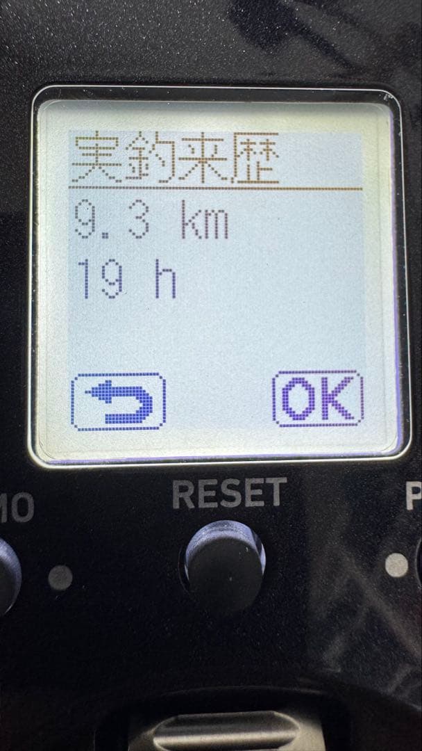 ダイワ　レオブリッツ300JL