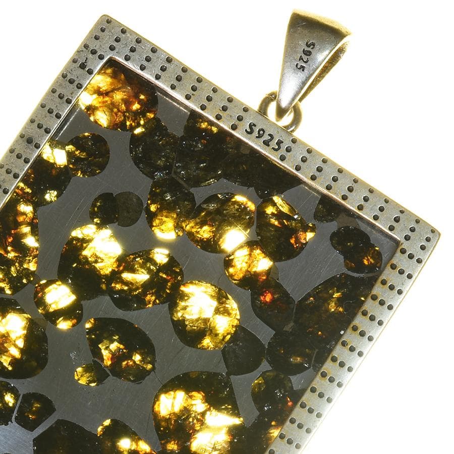 ⭐*︎様 パラサイト隕石 ペンダントトップ 隕石 石鉄隕石 セリコ 重さ20ｇ