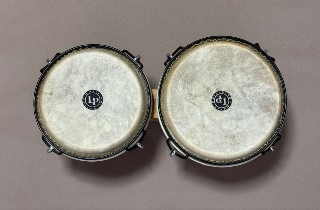 LP Music Collection ボンゴ ナチュラルウッド