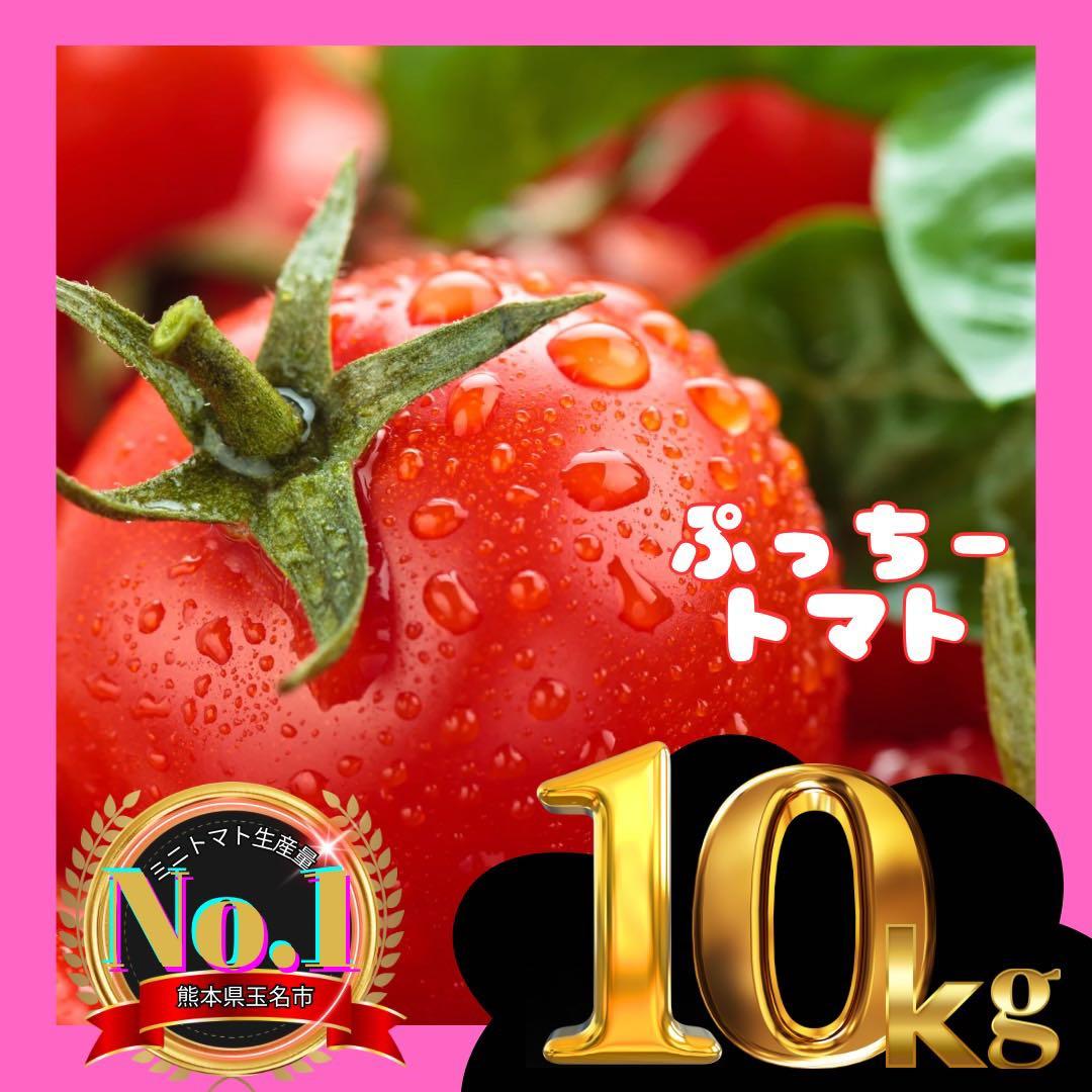 ミニトマト　10キロ　野菜　熊本　おやつ　弁当　おかず　ミネラル　リコピン