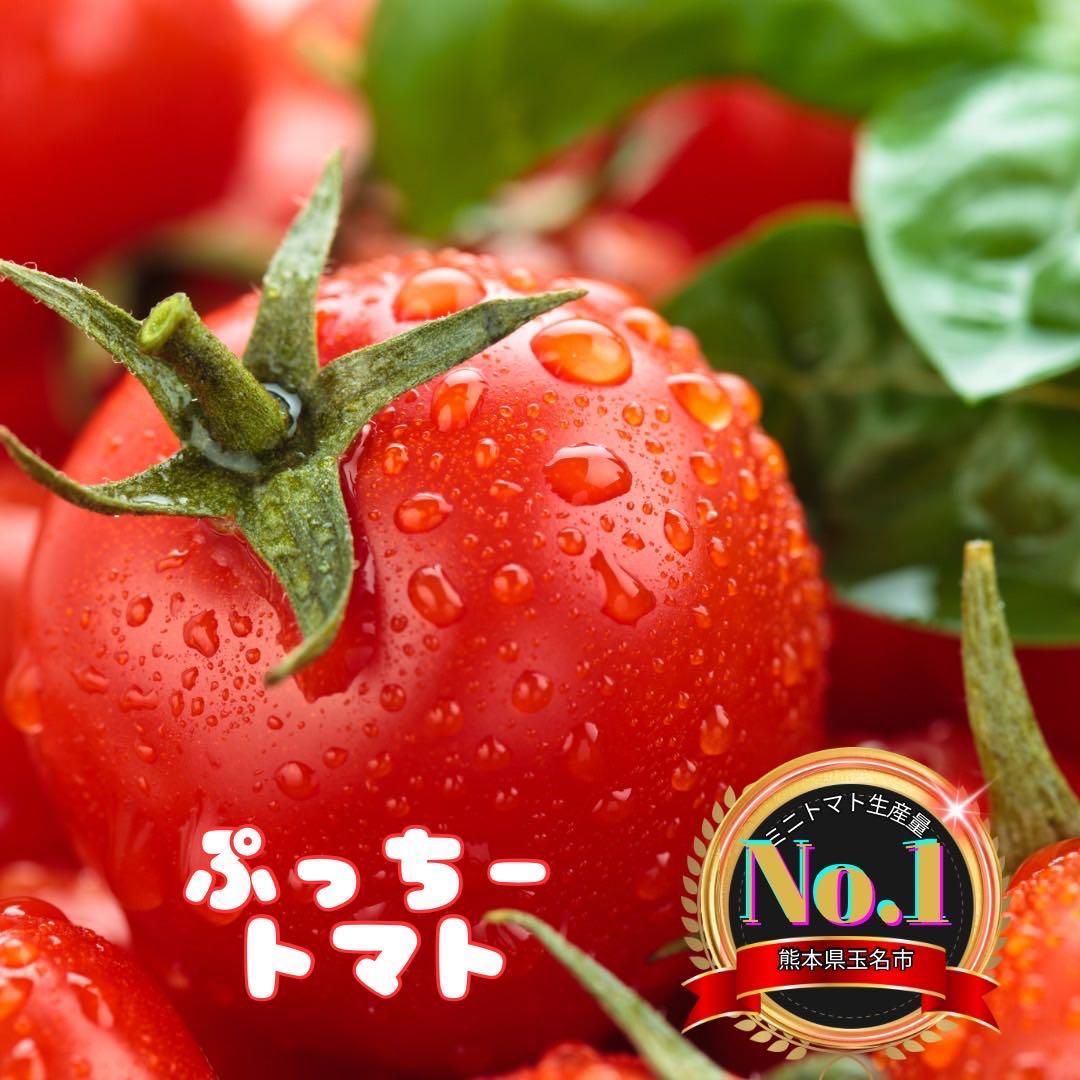 ミニトマト　10キロ　野菜　熊本　おやつ　弁当　おかず　ミネラル　リコピン