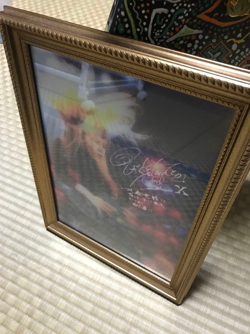 HIDEモデル FERNANDES MG-100X アメーバペイズリーペイント