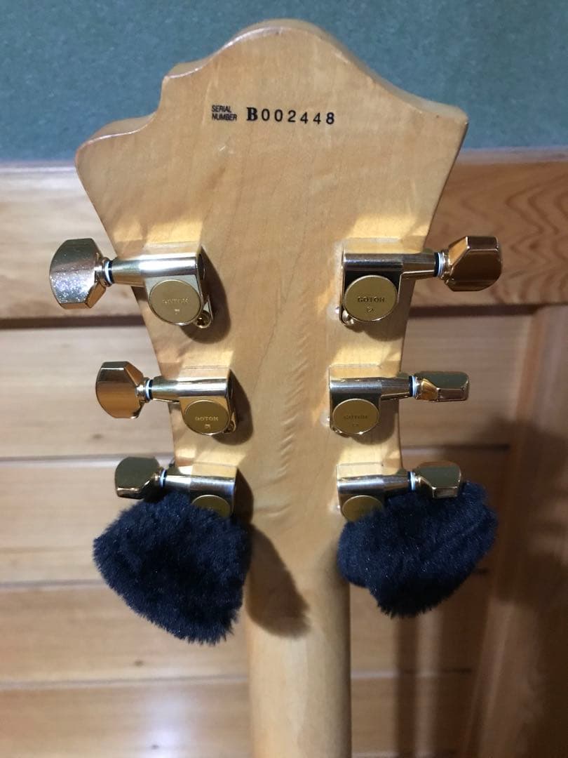 HIDEモデル FERNANDES MG-100X アメーバペイズリーペイント