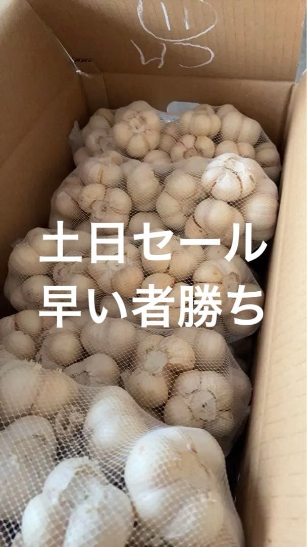新物　青森県にんにく10Kg M 数量限定
