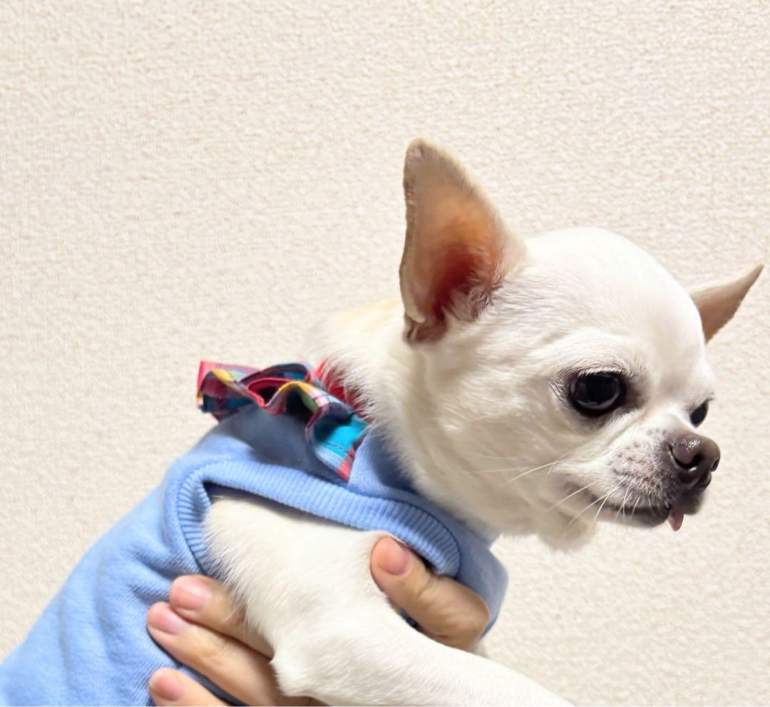 薄手のニット生地