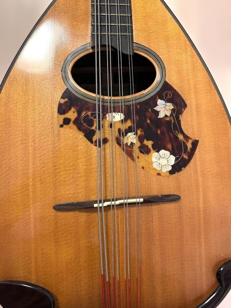 鈴木バイオリン　マンドセロMC-836 Made in Japan希少