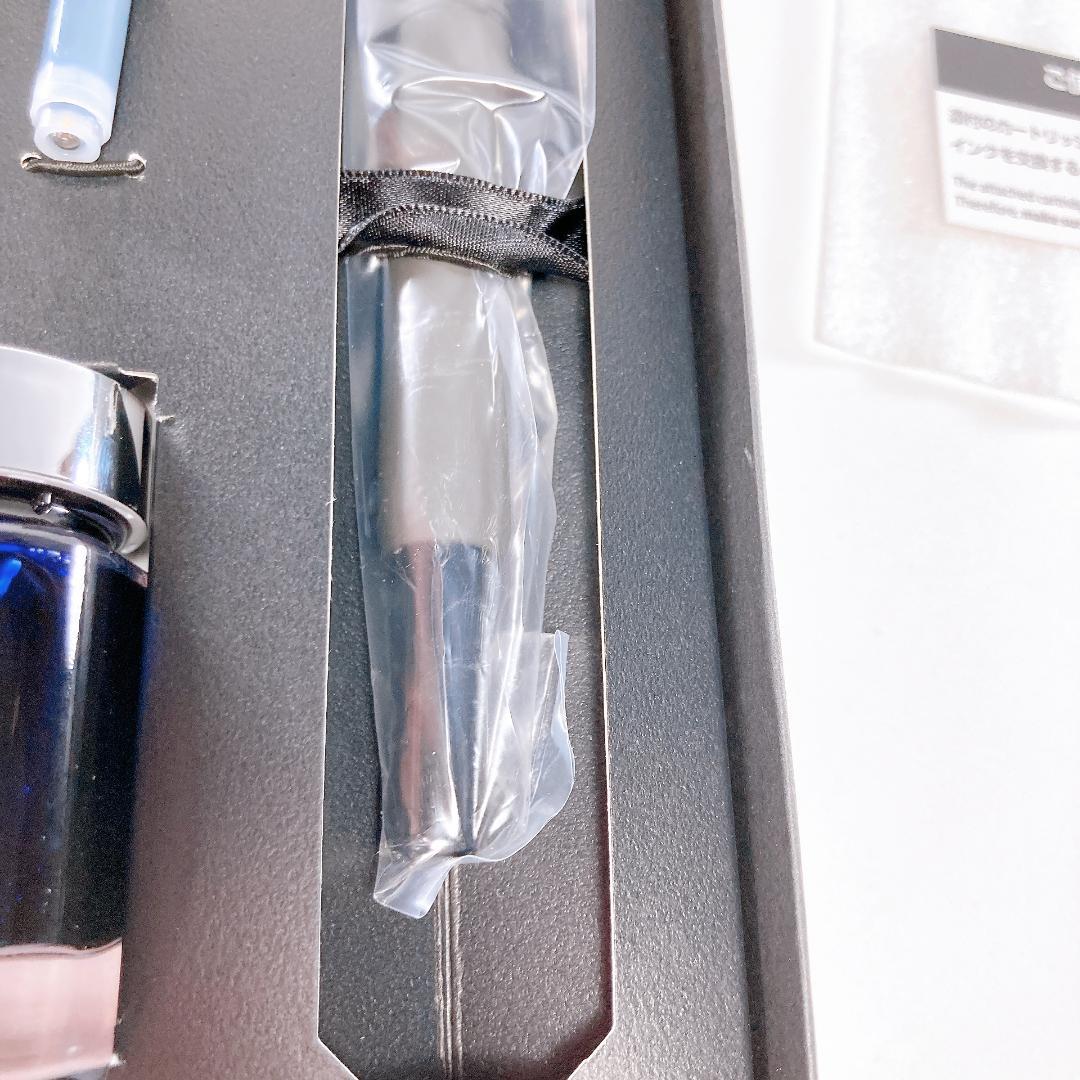 PLATINUM CURDAS ノック式 PKN-9000 ブラック|3338|