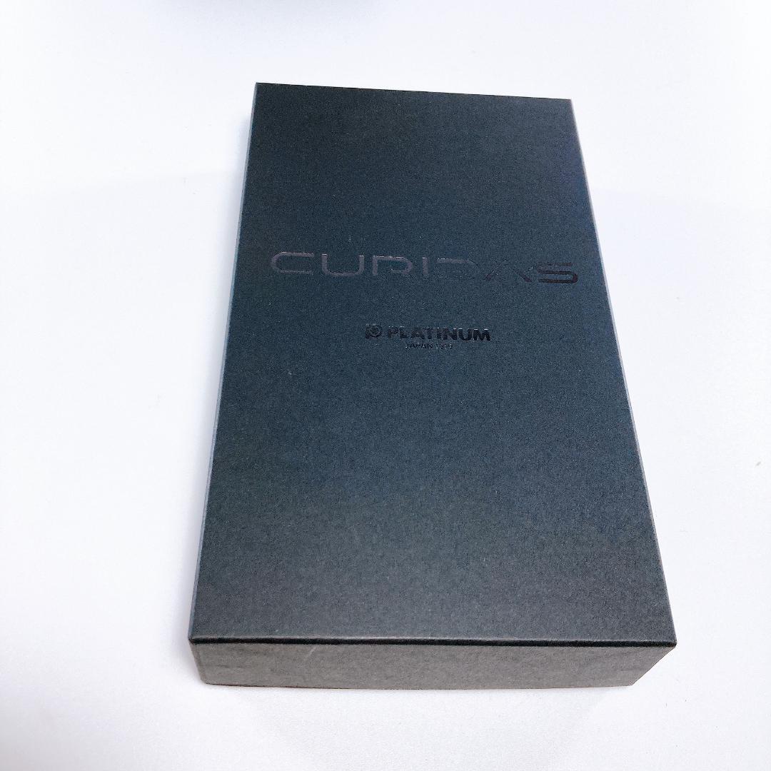 PLATINUM CURDAS ノック式 PKN-9000 ブラック|3338|