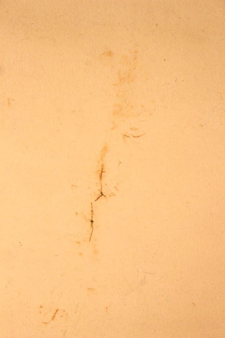 No5064 掛軸　五日市玉東　山水画賛　紙本　南画　日本画　古美術　送料無料