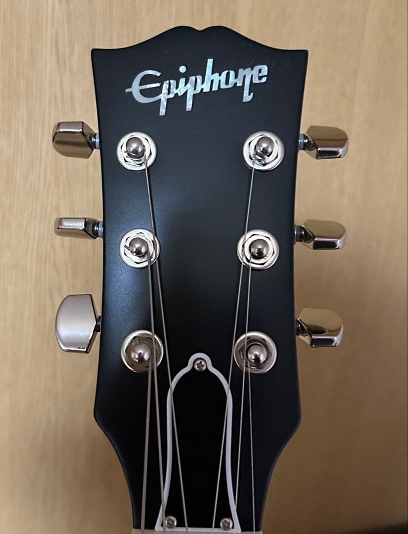 Epiphone kirk greeny レスポールスタンダード ハードケース付
