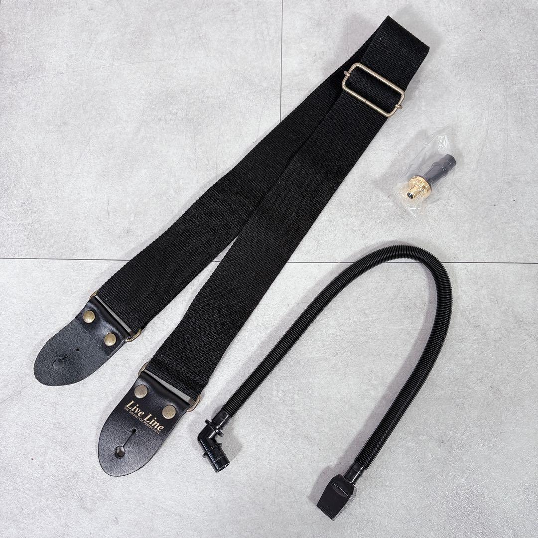 V626 SUZUKI 鍵盤ハーモニカ メロディオン アルト PRO-37v3