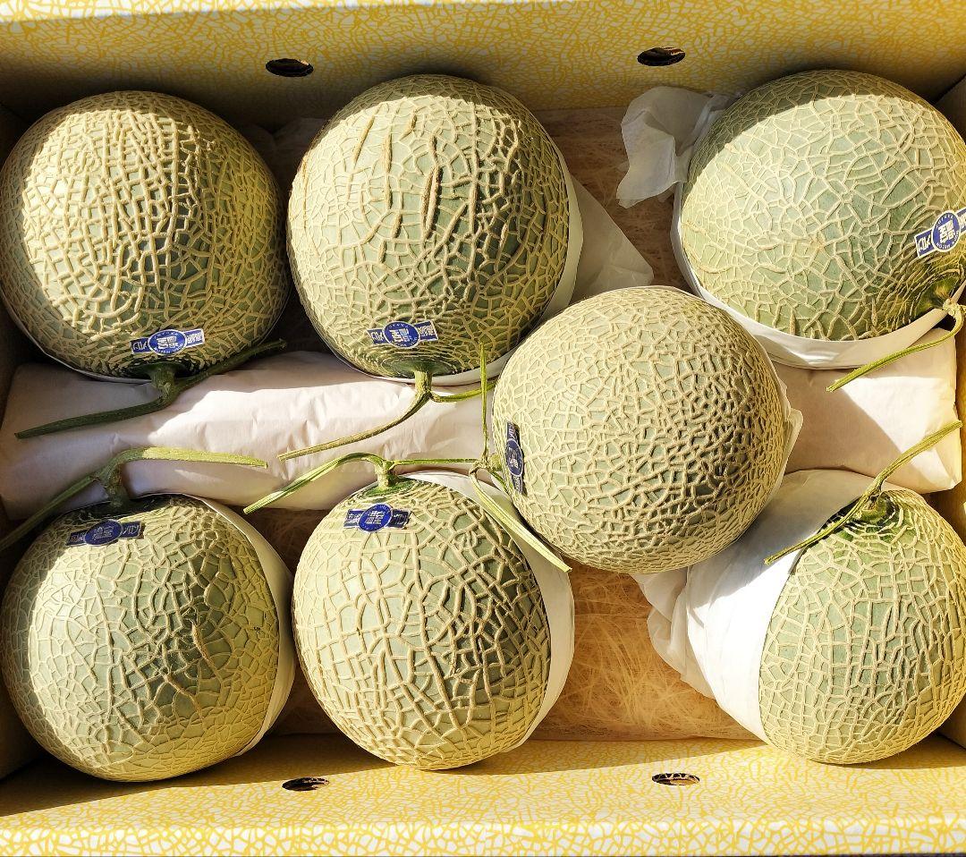 み*ほ様 高知産　訳あり温室マスクメロン　７玉　約７，３Kｇ　家庭用　北海道沖縄