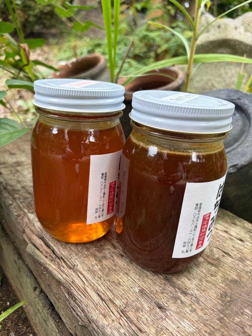 はちみつ　日本蜜蜂のハチミツ　奥山の奥の蜂蜜と花粉入りのはちみつ