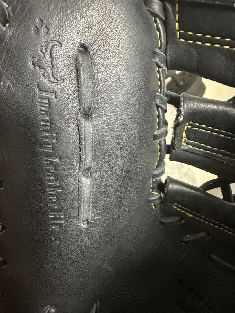 Mizuno pro ファーストミット