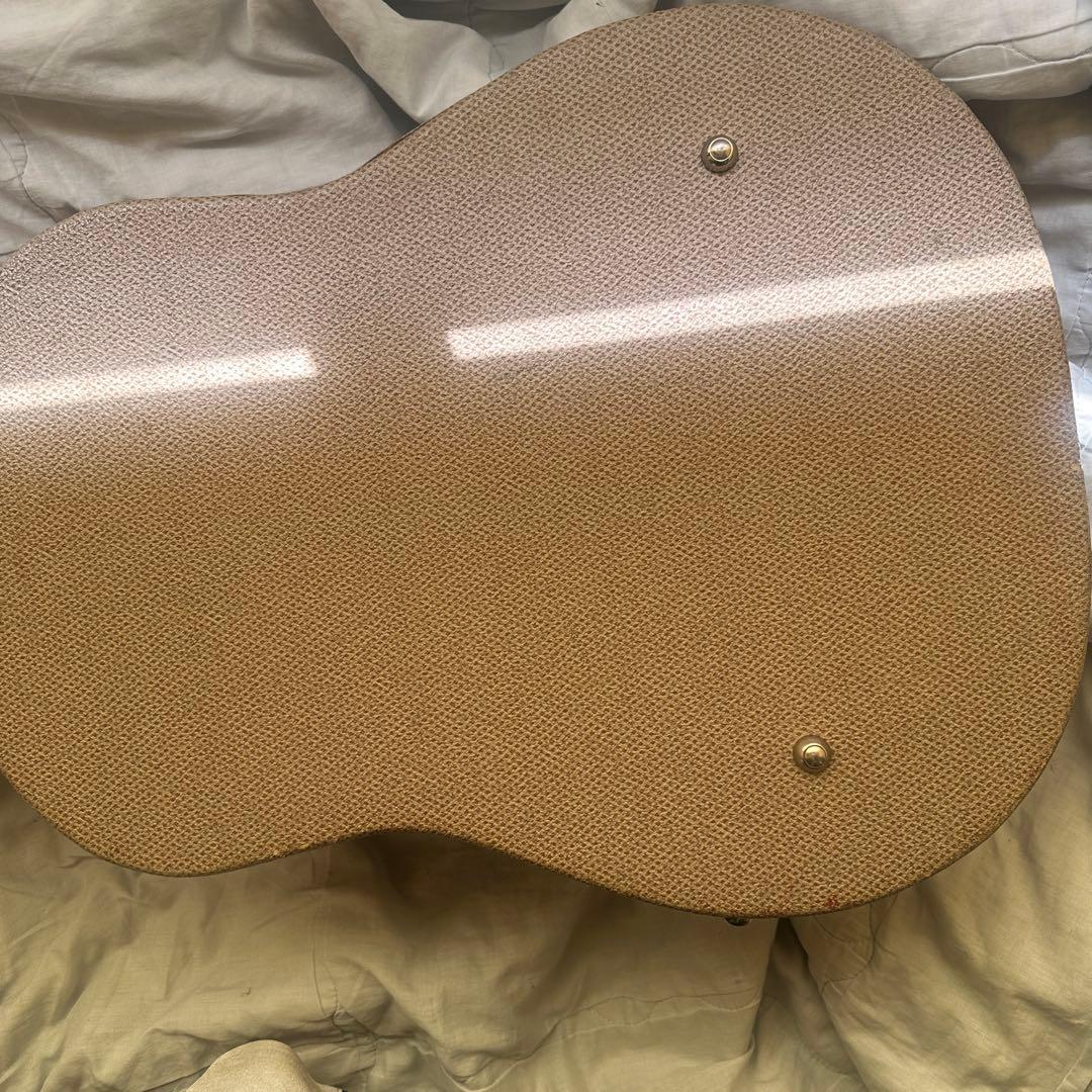 Cole Clarkアコースティックギター ハードケース付き