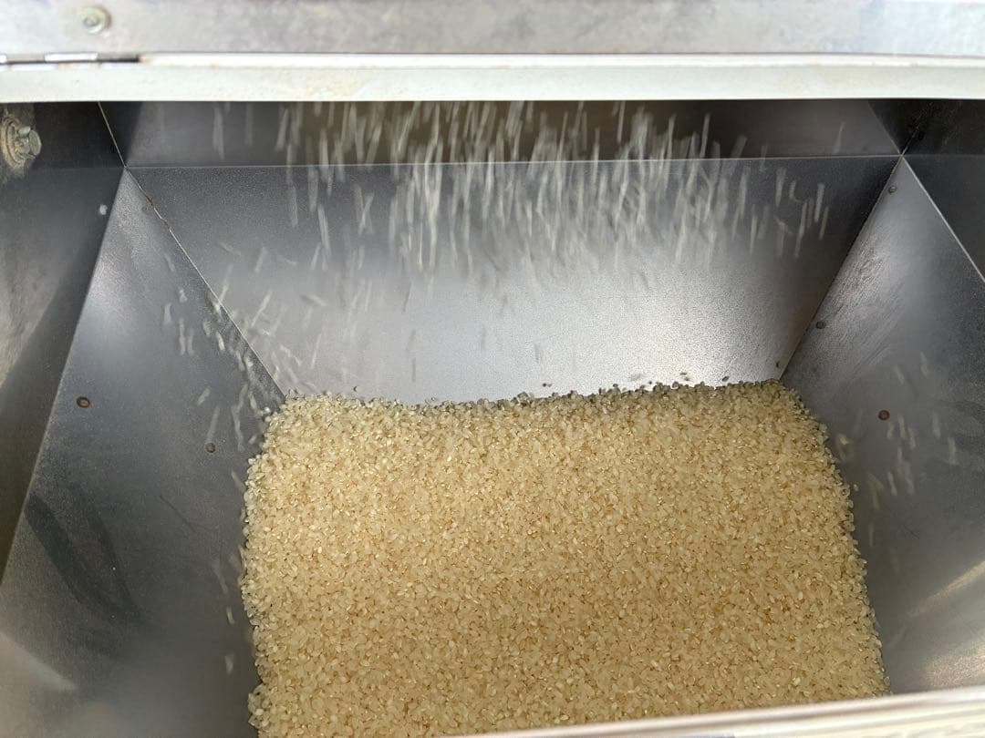 お米　宮崎えびの産　令和6年ひのひかり　10kg