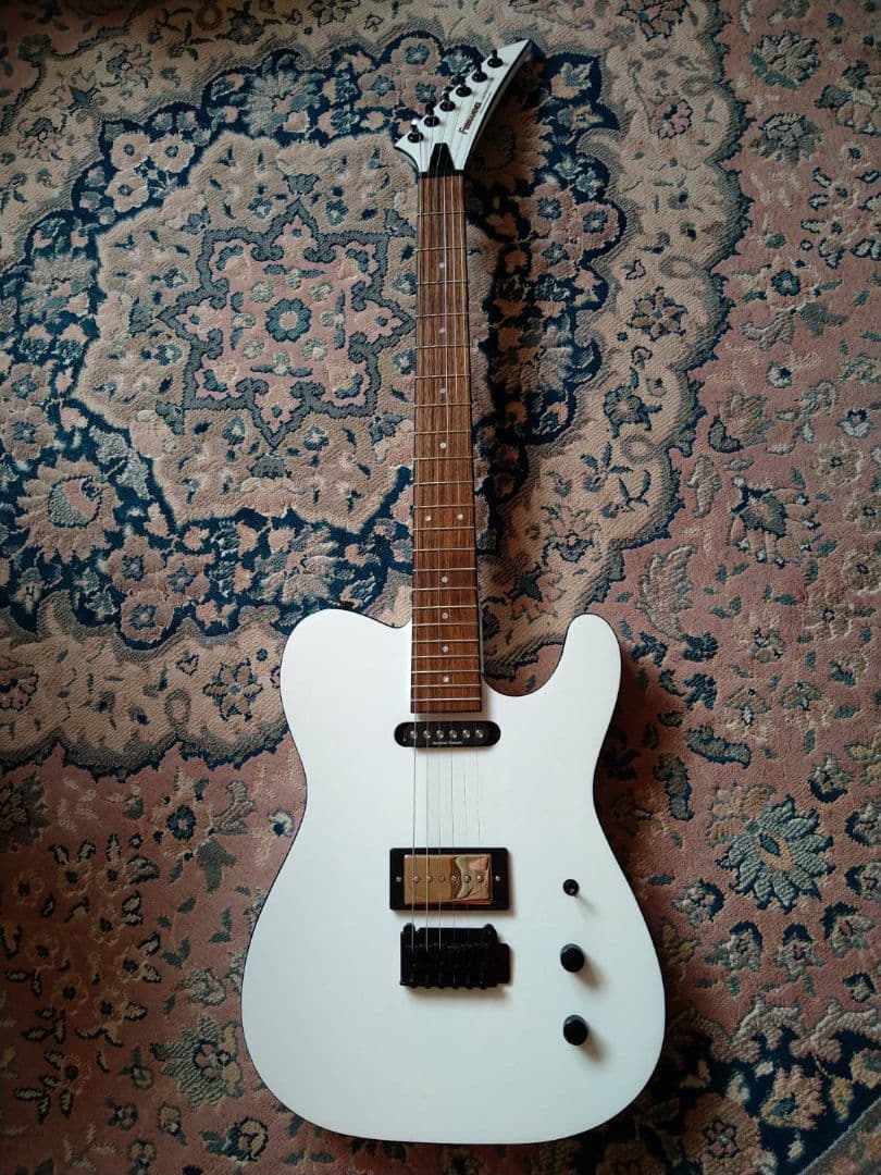 ギター FERNANDES / TEJ-STD SH '24 SW