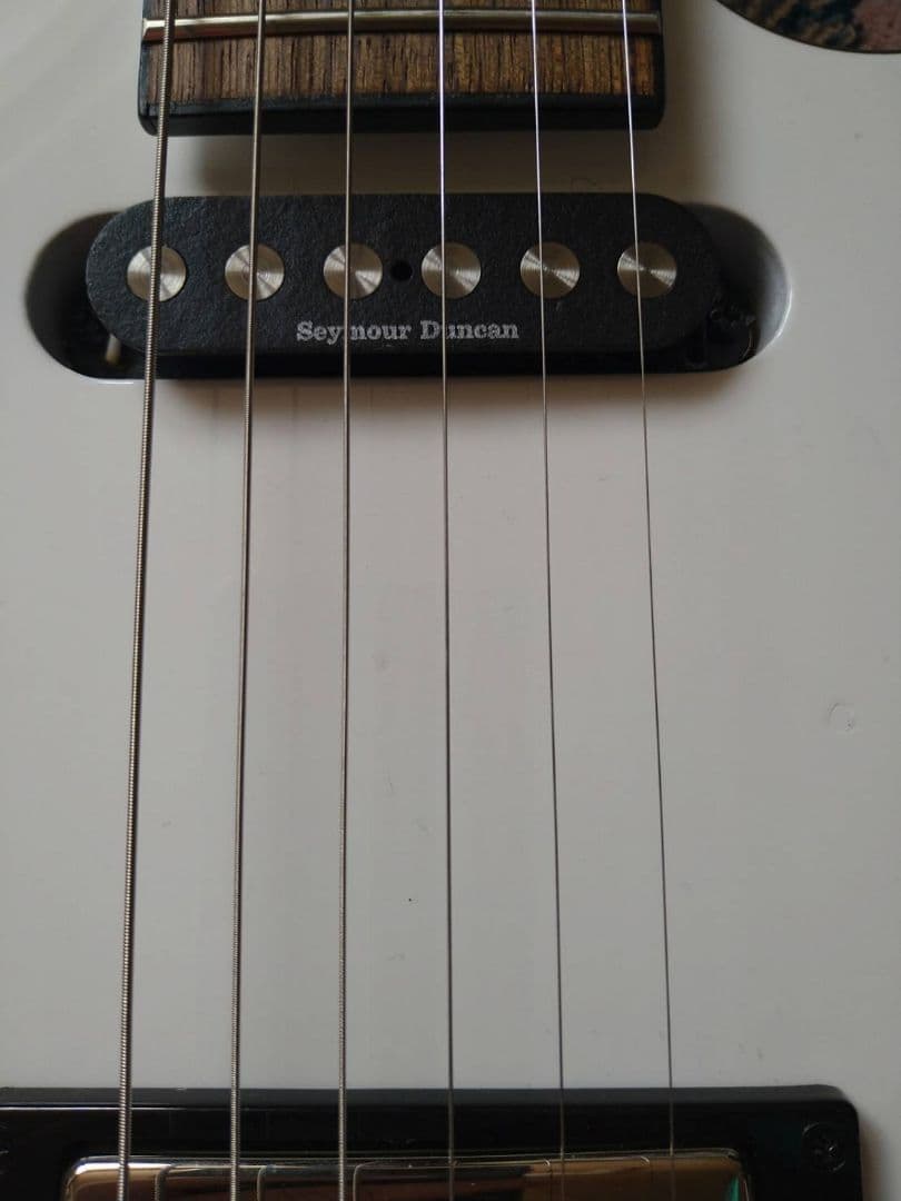 ギター FERNANDES / TEJ-STD SH '24 SW