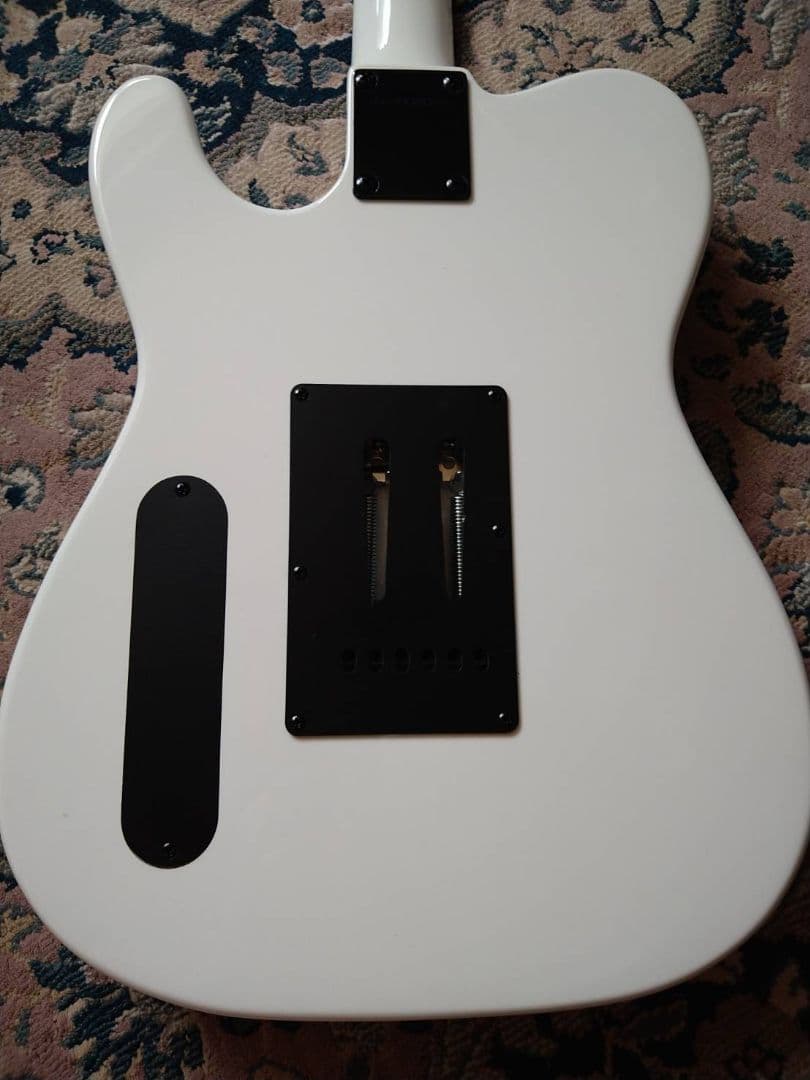 ギター FERNANDES / TEJ-STD SH '24 SW