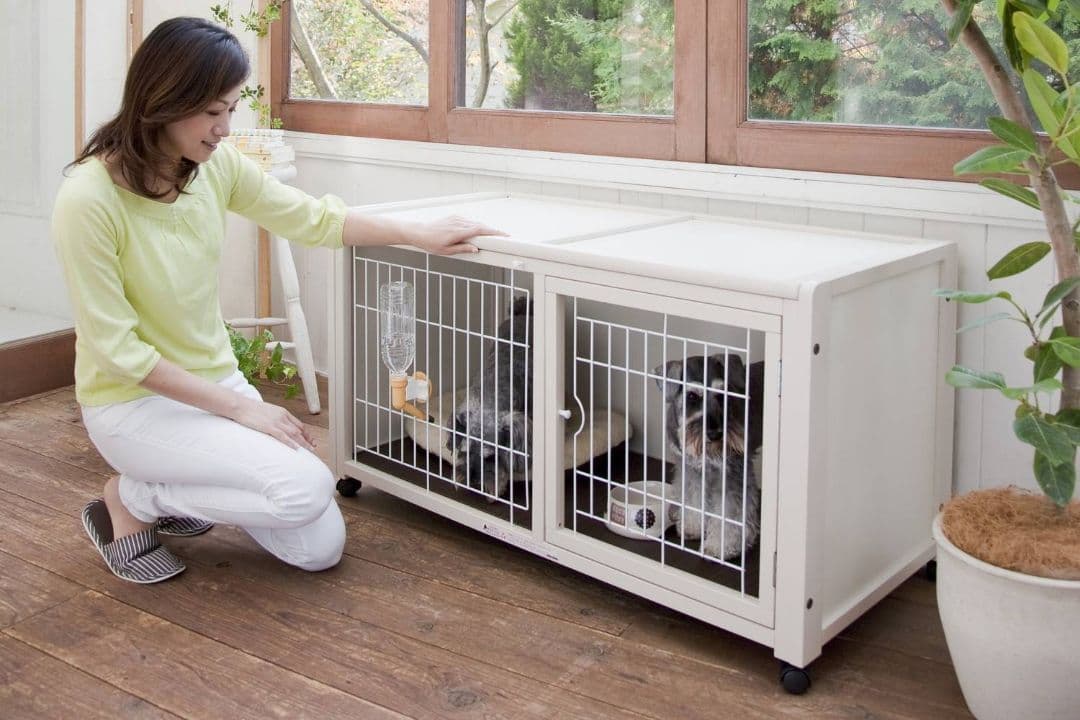 kiinus ペット ケージ ハウス AS120 オフホワイト