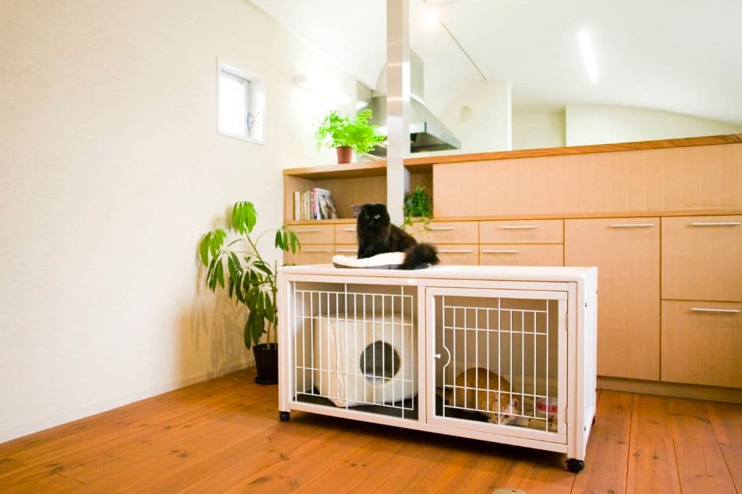 kiinus ペット ケージ ハウス AS120 オフホワイト