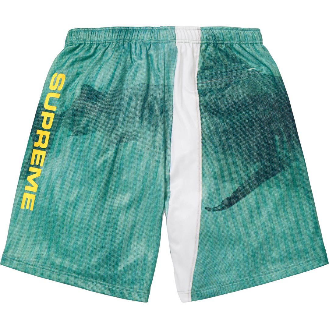 Supreme x Damien Hirst Soccer Short ショーツ