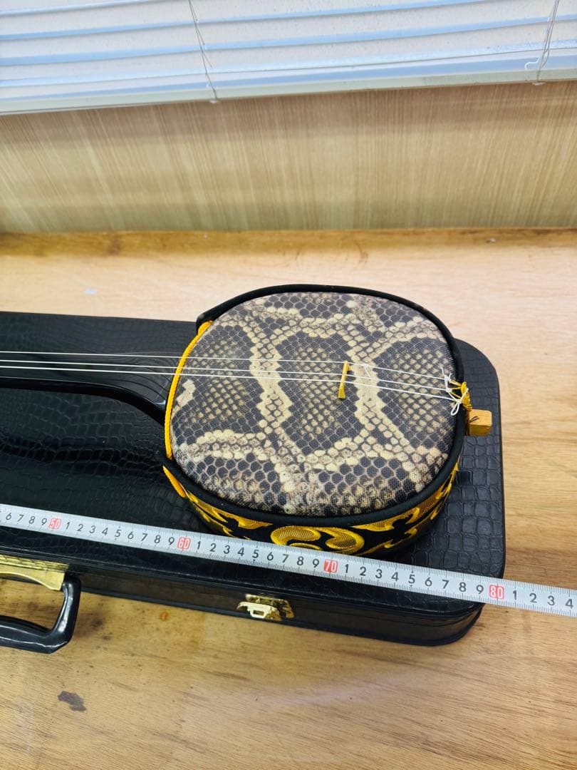 沖縄三線 ハードケース 日本製 楽器 弦楽器 入門 作曲 音楽