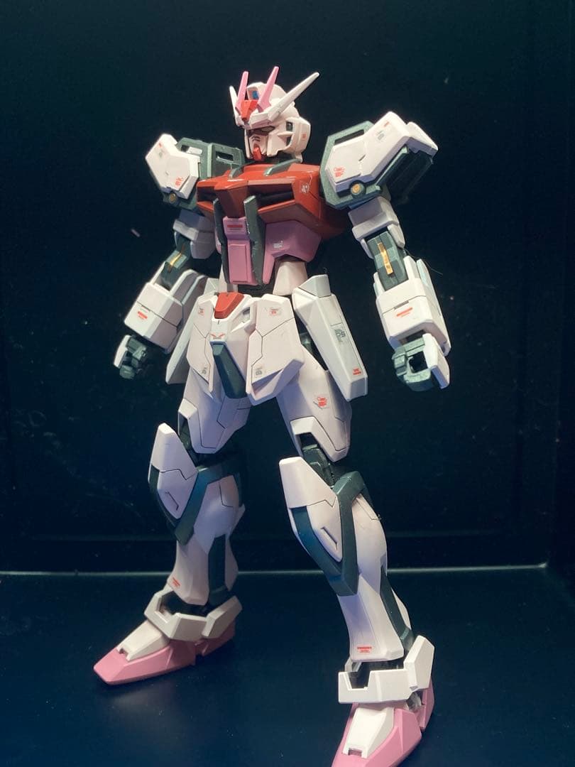 HGズゴック(SEED Ver) キャバリアーアイフリッド