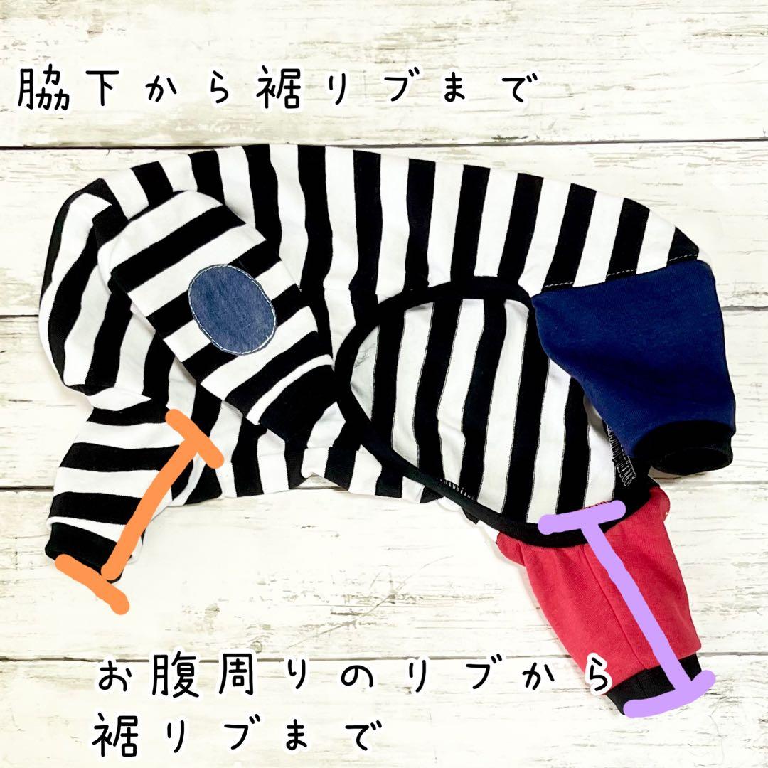 【オーダー】スウィートストロベリーなロンパース犬服