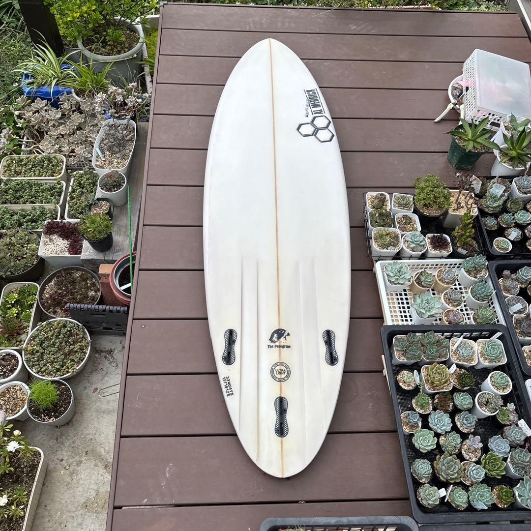 アルメリック　ペレグリン　6.2