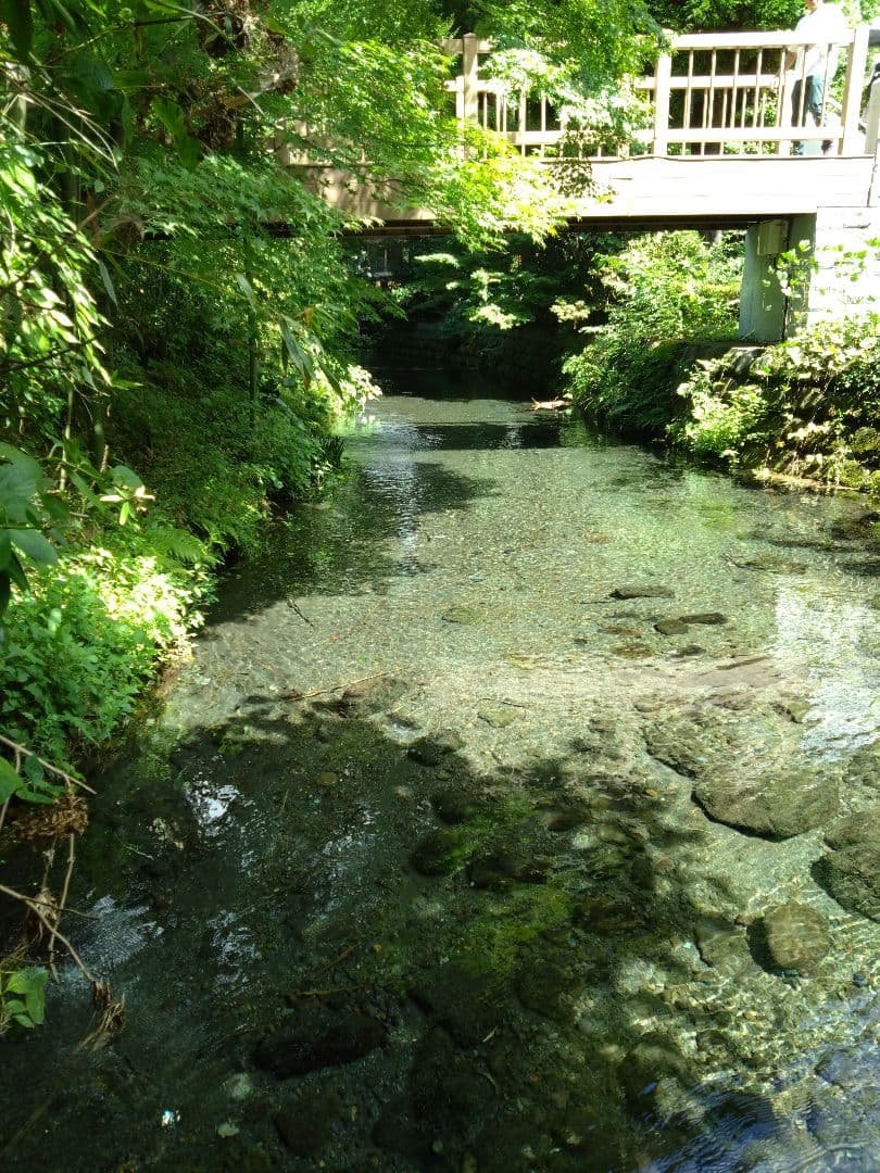 令和7年 自然栽培米　イセヒカリ 10kg 玄米