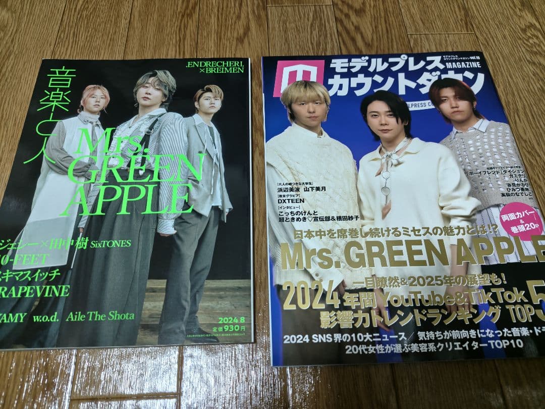 【最終値下】雑誌15冊＆フライヤーMrs. GREEN APPLE/大森元貴さん