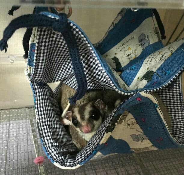 モモンガハウス(小花柄・紫Ver.2)  春(夏)秋仕様  1900円