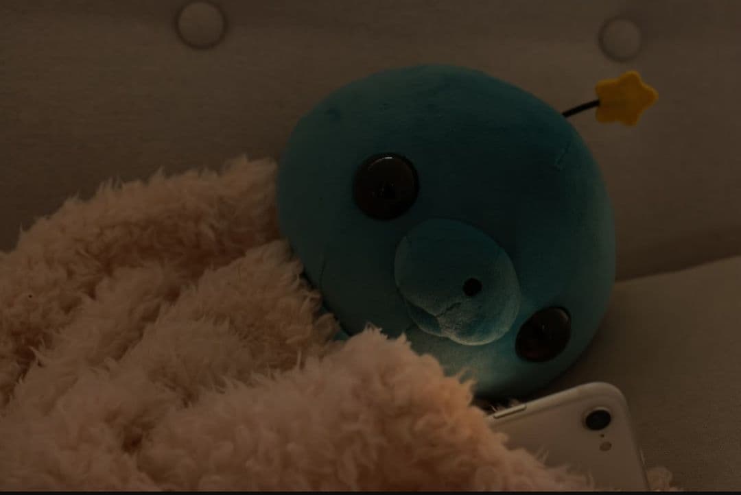 新品未使用 教育番組 タマ ぬいぐるみ化企画 クラウドファンディング リターン品